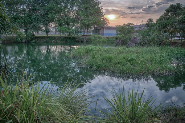 Tarde Lago — Foto de Stock