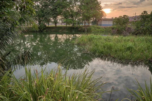 Tarde Lago — Foto de Stock