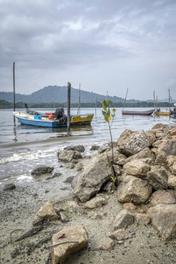 Perak, Malezya - 16 Şubat 2019: Kg Telaga Nenas, Ayer Tawar'da balık yakalamak için yüksek gelgit ya da balık avlamak için dışarı çıkmadığında deniz kenarında limanyapılan balıkçı teknelerinin sahnesi.