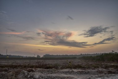 Sahada bitkiler üzerinde bulutlar ile sabahın erken gökyüzünün Manzara görünümü 
