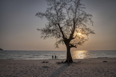 Sihanoukville, Kamboçya - 26 Şubat 2019: Ziyaretçiler Otres Plajı'nda sahilde gezinirken güzel gün batımı altın saat sahnesi