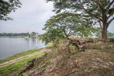 Gündüz gölet etrafında güzel yeşillik