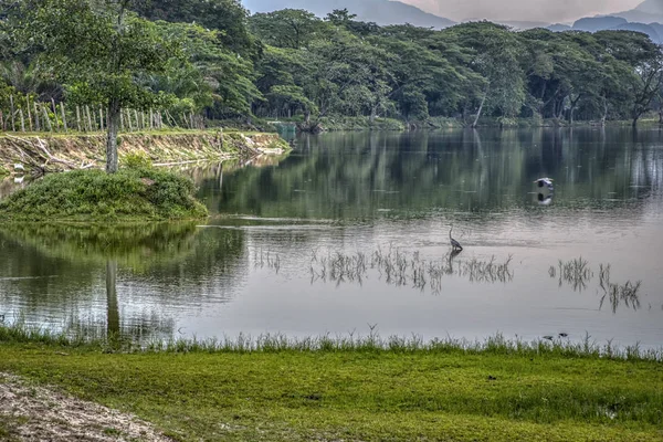 锡矿湖的景观景观 多云的天空下有绿色 — 图库照片