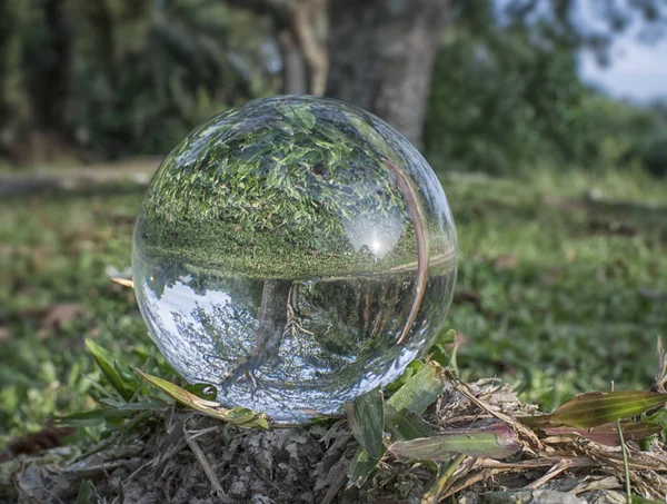 Die Natur Durch Kristallkugel Sehen — Stockfoto