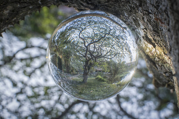 seeing nature through crystal ball