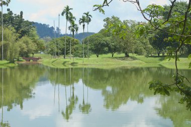 Göl bahçe yeşillik manzara