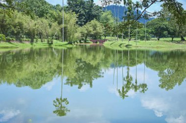 Göl bahçe yeşillik manzara