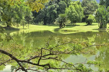 Göl bahçe yeşillik manzara