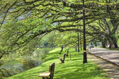 Göl bahçe yeşillik manzara