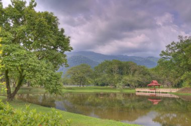 göl kenarında ki yeşil doğal bahçede huzur