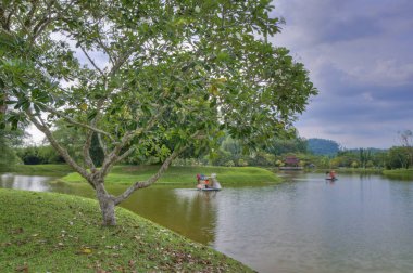 göl kenarında ki yeşil doğal bahçede huzur