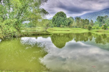 göl kenarında ki yeşil doğal bahçede huzur