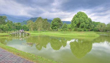göl kenarında ki yeşil doğal bahçede huzur