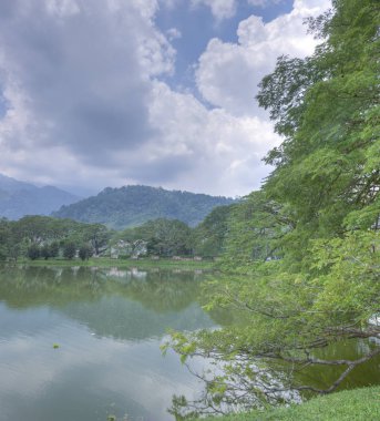 göl kenarında ki yeşil doğal bahçede huzur