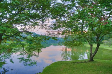 göl kenarında ki yeşil doğal bahçede huzur