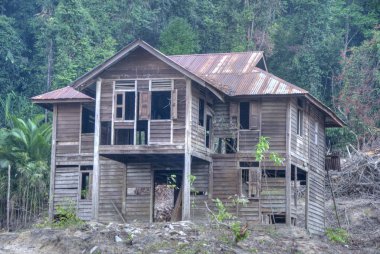 terk edilmiş bir evden ayrılan arazinin ormansızlaşması.