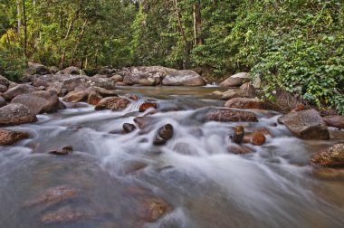 akan su akışında yavaş deklanşör hızı fotoğrafçılığı