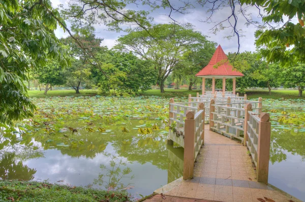 Tranquilidad Verde Jardín Natural Junto Lago — Foto de Stock