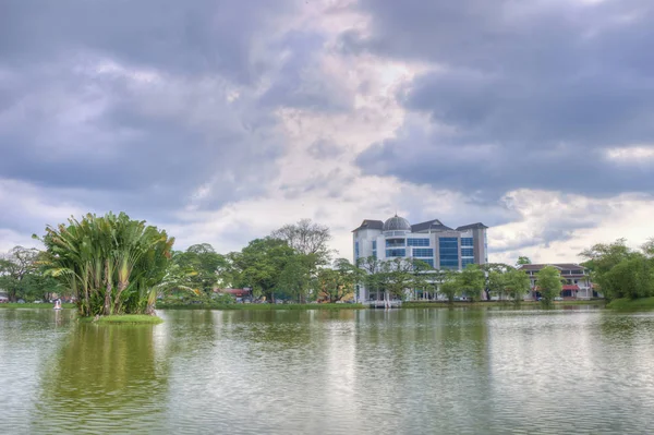 Tranquilidad Verde Jardín Natural Junto Lago — Foto de Stock