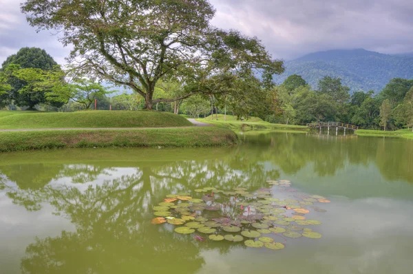 Ruhe Grünen Naturgarten See — Stockfoto