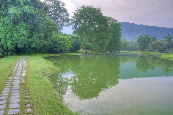 Tranquilidad Verde Jardín Natural Junto Lago —  Fotos de Stock