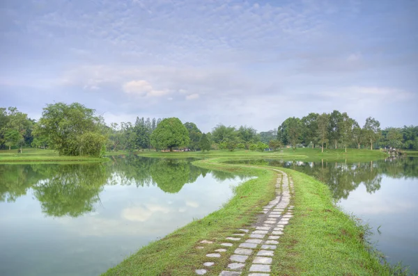 Tranquilidade Jardim Natural Verde Junto Lago — Fotografia de Stock