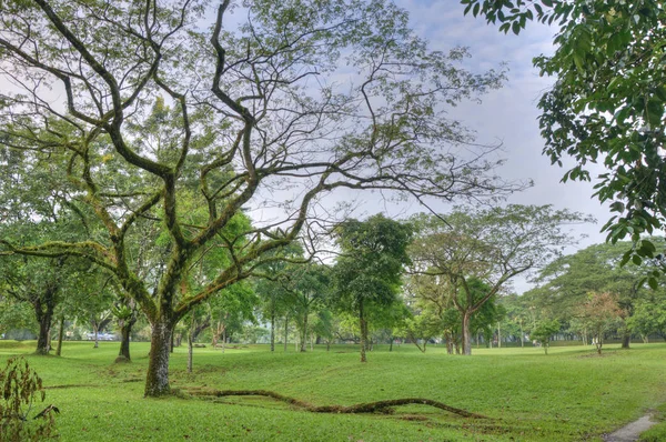 Tranquillità Nel Verde Giardino Naturale Riva Lago — Foto Stock