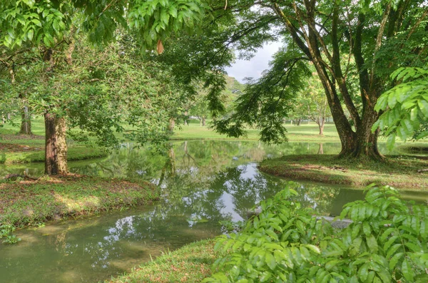 Tranquilidad Verde Jardín Natural Junto Lago — Foto de Stock