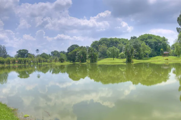 Tranquilidade Jardim Natural Verde Junto Lago — Fotografia de Stock