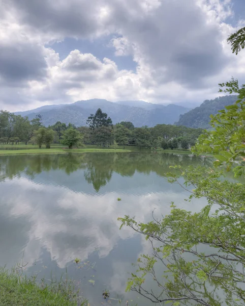 Ruhe Grünen Naturgarten See — Stockfoto