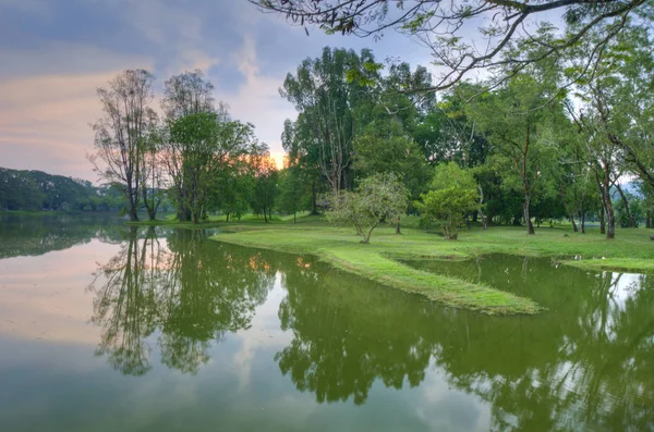 Tranquilidade Jardim Natural Verde Junto Lago — Fotografia de Stock