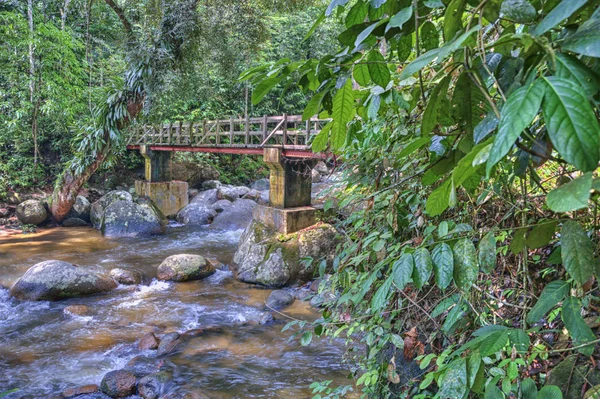 Holzbrücke Über Bach — Stockfoto