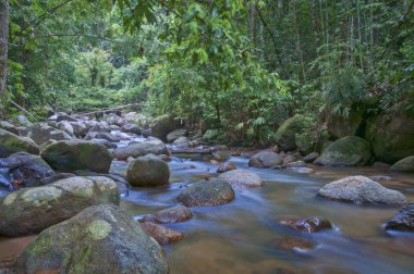 yavaş deklanşör hız kamerası ile çekilen akan su akışı