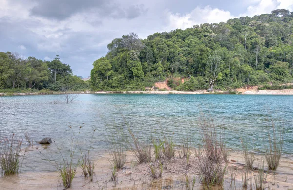 Scène Groen Van Tropisch Gebied Rond Het Rustige Geïsoleerde Strand — Stockfoto