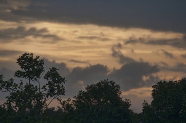 Batan güneşten sonra akşam geç saatlerde.