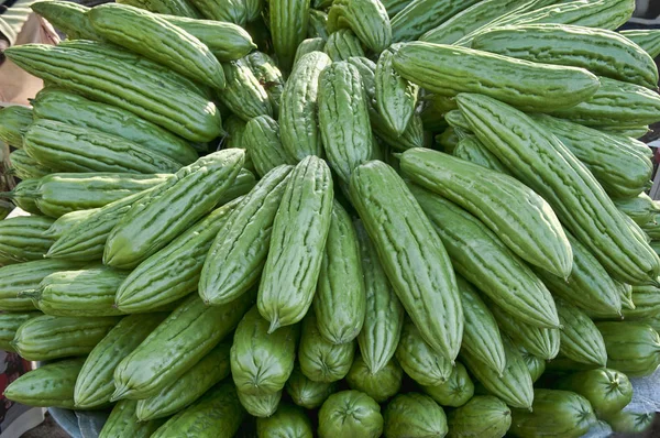 Scene Cultivation Bitter Gourd Farm — Stock Photo, Image