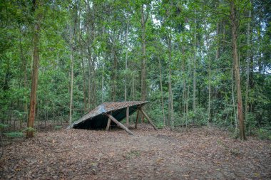 vahşi doğaya yürüyüş