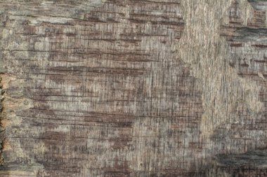 eski çürük ahşap doku.