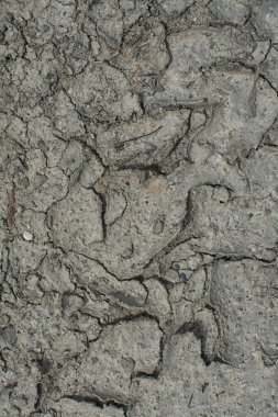 kuruluk nedeniyle toprak zemin çatlakları