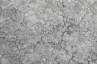 eski beton duvar veya zemin dokusu.