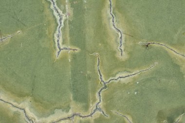 Yeşil beton zemin dokusu