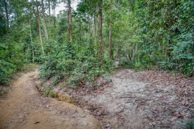 vahşi doğaya yürüyüş