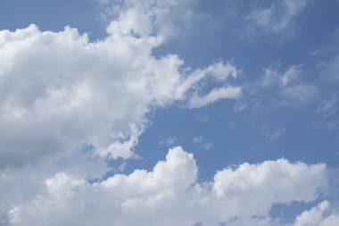 mavi gündüz gökyüzüne bakıyor