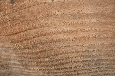 düz kalas ahşap doku. 