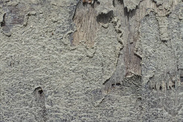 Struktura Starého Hniloby Dřeva — Stock fotografie