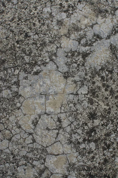 Grunge Podłogi Lub Ściany Tekstury — Zdjęcie stockowe