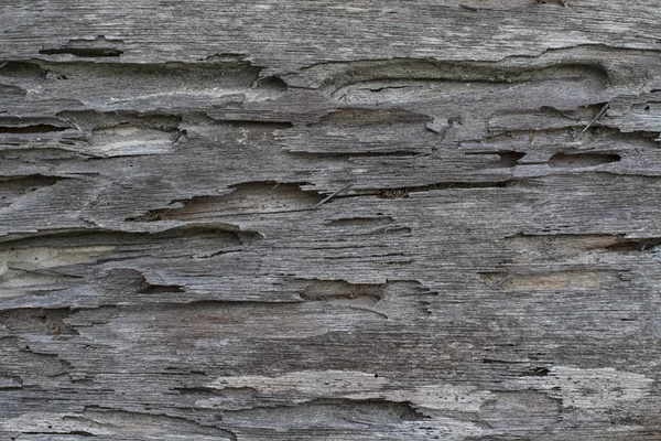 Deszka Fából Készült Fal Textúra — Stock Fotó