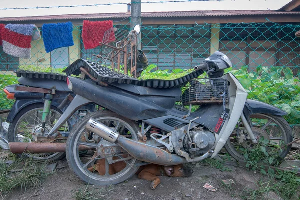 Kampong Koh Perak Malaysia Mai 2018 Haufen Nicht Reparierbarer Oder — Stockfoto