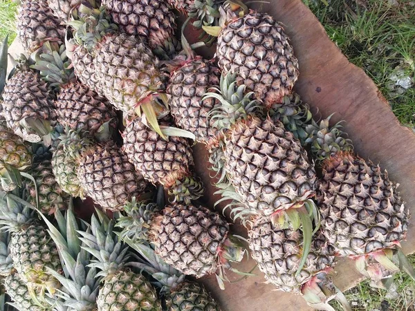 Świeży Ananas Sprzedaż — Zdjęcie stockowe