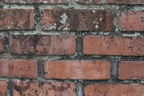 Cement Clay Brick Wall Texture Stock Image